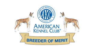 AKC Breeder of Merit